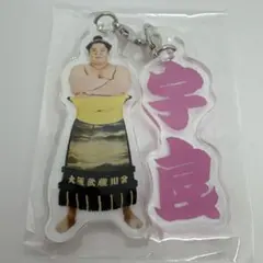 大相撲　ガチャ　めじるしアクセサリー　宇良