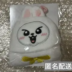 StrayKids スキズ FCくじ D賞 SKZOO ループタオル リービット