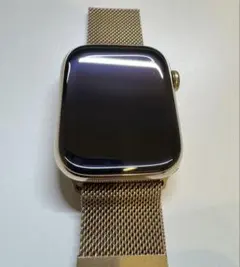 AppleWatch series8 ステンレスゴールド