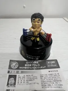 2025年最新】天龍源一郎の人気アイテム - メルカリ