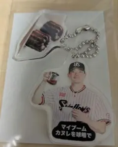東京ヤクルトスワローズ　#20木澤選手　スイーツキーホルダー