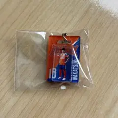 アルビレックス新潟 若月大和ブリスタズめじるしキーホルダー