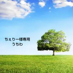 ちぇりー様専用　うちわ