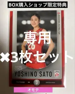 専用