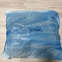 新品未使用 Genie Lサイズ セットのサムネイル