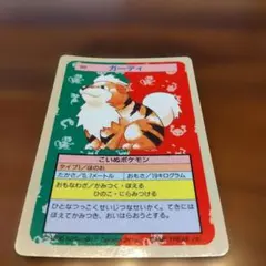 トップサン ガーディ ポケモンカード 裏面青