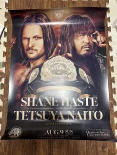 プロレスリング・ノア　内藤　武士　政岡　非売品ポスター プロレスリング・ノア 内藤 武士 政岡 非売品ポスター - メルカリ