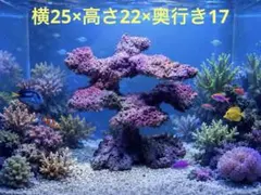 2026年最新】人工ライブロックの人気アイテム - メルカリ