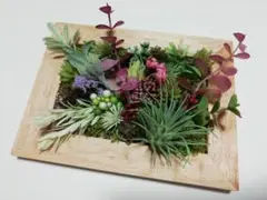 C-chan⭐️様　専用