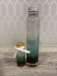 ✴️即購入不可コメント必須 シーグラス ボトル 2本セット