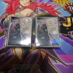 ザフォールンアンドザヴァーチャス スリーブ 50枚入 2セット 計100枚 The Fallen & The Virtuous ヴァーチャススリーブ2セット - メルカリ