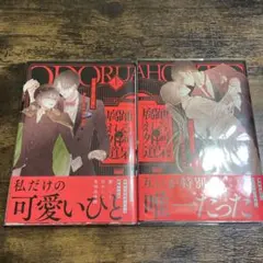 踊る阿呆と腐れ外道　上・下巻　あかねソラ