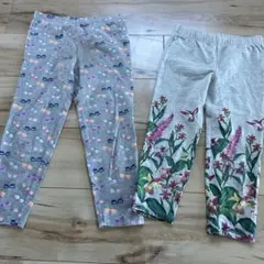 Item thumbnail for item 92e1b781-99e5-419b-b6f1-aa9263a168ad