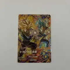 SDV8-069　トランクス　宝箱