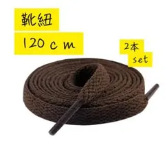 靴紐2本 スニーカー ブラウン シューレース 平紐 靴ひも 120cm