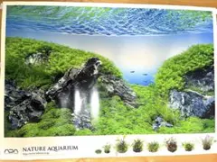 ADA NATURE AQUARIUM ポスターのサムネイル