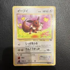 イーブイ ● 第2弾拡張パック ポケモンジャングル