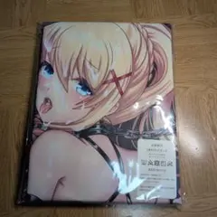 ダクネス　抱き枕カバー 2WAYトリコット
