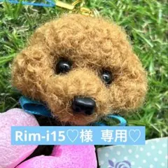 Item thumbnail for item 8f5aeb19-e4c1-484f-9252-27efe63c3f02