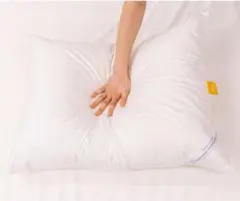 Item thumbnail for item bd659d40-3c5e-42f3-8890-734e69714f3d