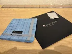 Item thumbnail for item 1ae94f07-c2a6-445b-9dda-d7fd5ecf0c84