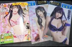 Item thumbnail for item d318eff5-7dcc-45fb-8947-687c7f61cc00