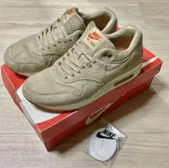 NIKE BEAMS ナイキ ビームスAIRMAX1 エアマックス1 25cm