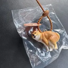 ふんばりーぬ 柴犬