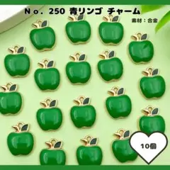【No. 250】つやつや青リンゴチャーム 10個入