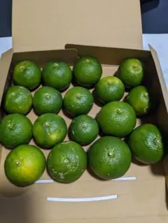 産地直送！小玉スイカウリ坊4玉入！甘くて美味しい！箱込9.5~10キロ