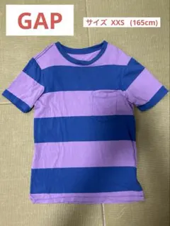 紫と青のストライプ Tシャツ　GAP