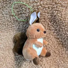 2026年最新】エゾリスの人気アイテム - メルカリ