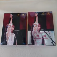 柴田聡子 SATOKO SHIBATA TOUR 2019 GANBARE! - メルカリ