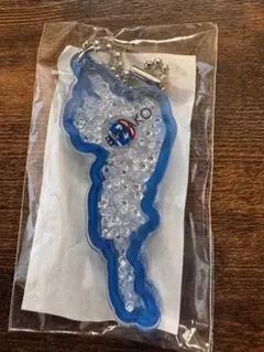 BIMBAKO アクリルキーホルダー　滋賀レイクス　びわこキーホルダー　マグニー