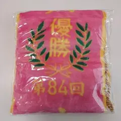 Item thumbnail for item 94fc8614-f2d6-4389-9795-c98228fce0df