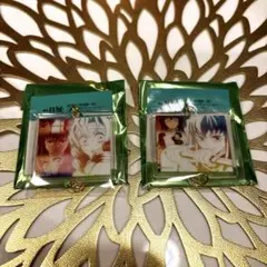 鬼滅の刃 柱展 柱百景 絆アクリルチャーム 時透無一郎 甘露寺蜜璃