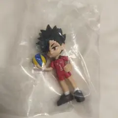 PalVerse ハイキュー!!黒尾鉄朗のサムネイル