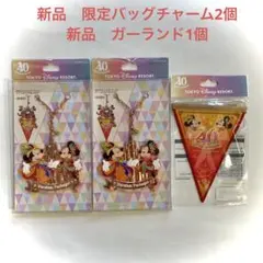 ディズニー　バケーションパッケージ限定　バッグチャーム　40周年ガーランド