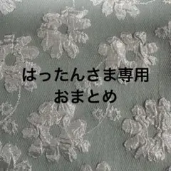はったんさま　専用ページ