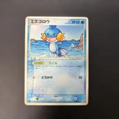 ポケモンカード　ミズゴロウ 構築デッキ 大地のグラードン　003/016 8v1のサムネイル