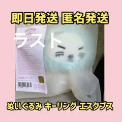 dreamiez フラットぬいぐるみ クッション ジェミン kkyuping - メルカリ