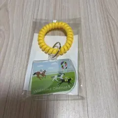 welcomeチャンス D賞 枠色アクリルキーリング　黄色