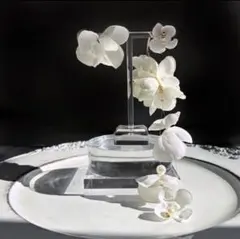 Jasmineホワイト花モチーフロングイヤリング