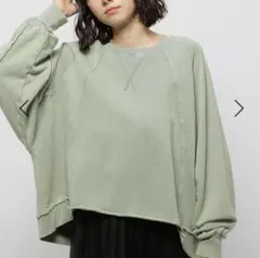 アウトリンキングブリーチプルオーバー　トレーナー　Mサイズ