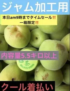 クール冷蔵着払い‼️ジャム加工用5.5キロサイズ混合のサムネイル