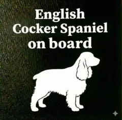 Item thumbnail for item 952b608d-e6e3-4520-8971-81bb418dced4