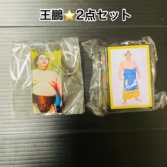 大相撲★9月場所新作ガチャ★王鵬★明け荷★スティックキーホルダー★2点セット