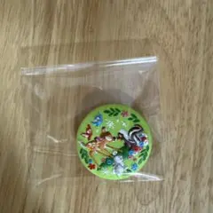 ディズニー刺繍缶バッジ2