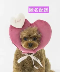③ ハート顔ハメ ピンク ハート バレンタイン 犬 猫 ペット スリーコインズ
