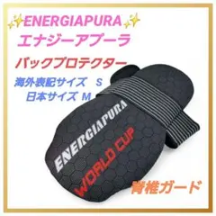 アルペンスキー　バックプロテクター　ユースサイズL スキープロテクターならスキー用品通販ショップ - タナベスポーツ